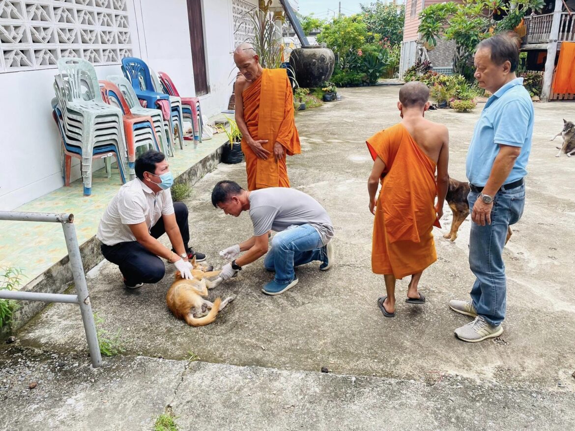 องค์การบริหารส่วนตำบลวัดขนุน ร่วมกับปศุสัตว์อำเภอและปศุสัตว์จังหวัด ลงพื้นที่สุ่มตรวจภูมิคุ้มกันโรคพิษสุนัขบ้าในเขตพื้นที่ตำบลวัดขนุน